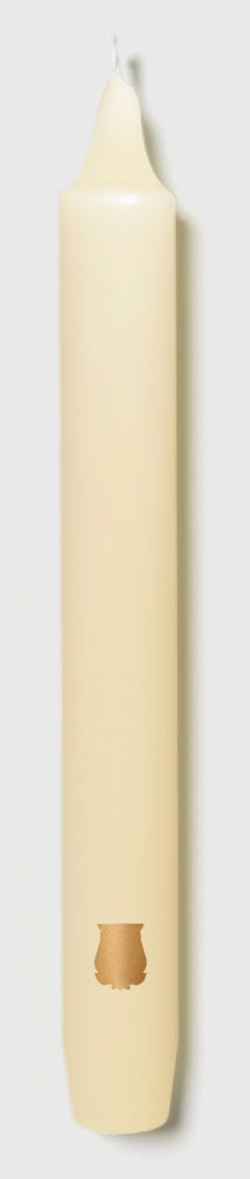 Six aqua Trudon Madeleine taper candles in a box, elegant and long-lasting candle display for home decor or special occasions.