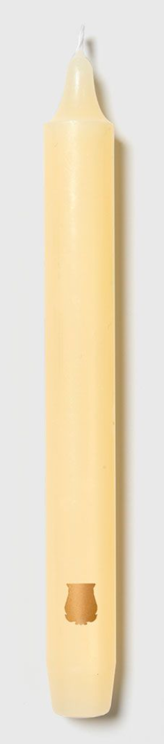 Six aqua Trudon Madeleine taper candles in a box, featuring elegant, slender candle design ideal for home decor and ambiance.