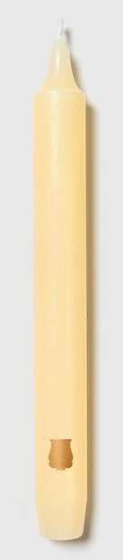 Six aqua Trudon Madeleine taper candles in a box, featuring elegant, slender candle design ideal for home decor and ambiance.