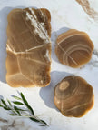 Elegant Belle Onyx Tray by Villa Lua Home with polished black and gold accents, perfect for serving or decorative use.